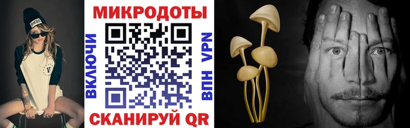 Псилоцибиновые грибы Psilocybe  купить наркотики сайты  Алейск 