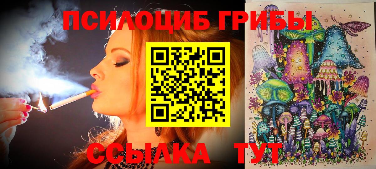 Псилоцибиновые грибы ЛСД  Псилоцибиновые грибы Magic Shrooms  Вход с VPN  Алейск 