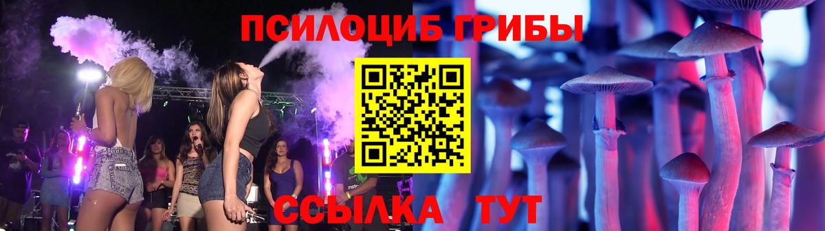 Алейск  Галлюциногенные грибы ЛСД  Галлюциногенные грибы GOLDEN TEACHER  Вход с VPN 
